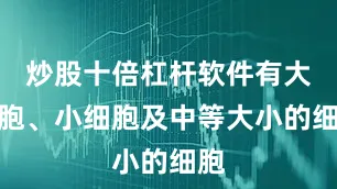 炒股十倍杠杆软件有大细胞、小细胞及中等大小的细胞