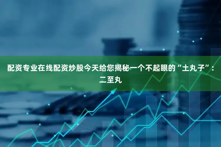 配资专业在线配资炒股今天给您揭秘一个不起眼的“土丸子”：二至丸