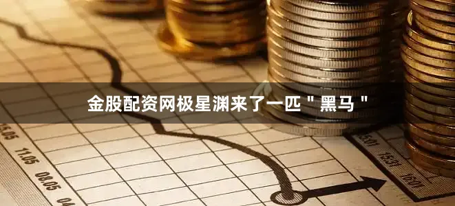 金股配资网极星渊来了一匹＂黑马＂